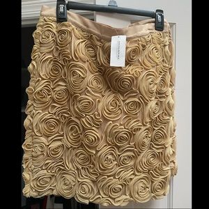 Gold Rose Embellished Banana Republic Skirt NWT
